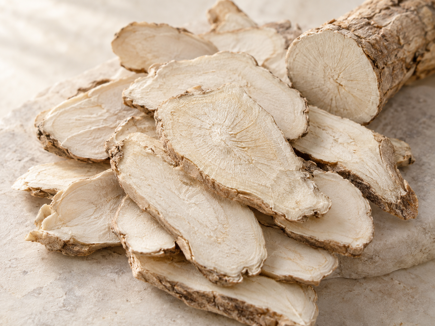 Dried peony root slices illustration